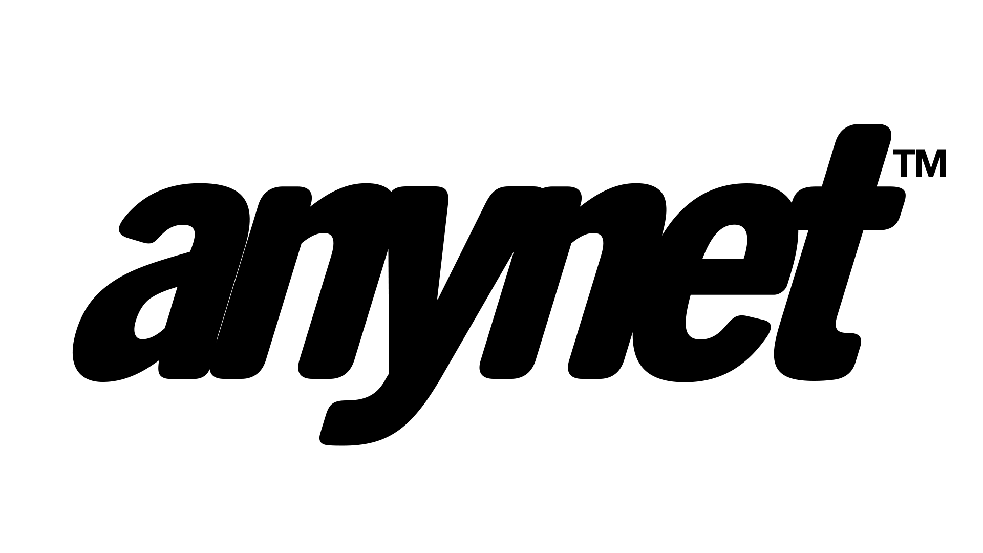 AnyNet